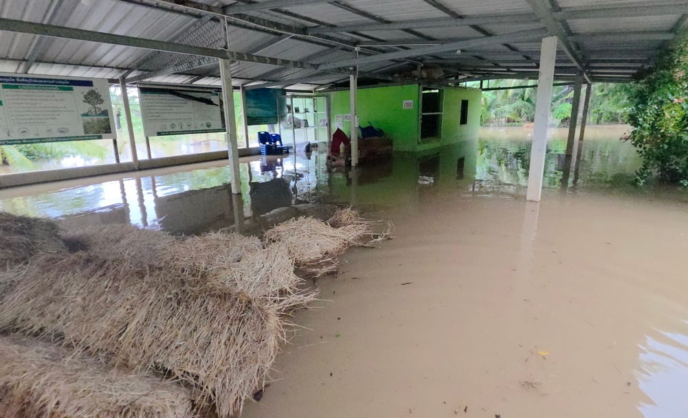 ชุมพรน้ำท่วม 5 อำเภอ 142 ครัวเรือนเดือดร้อน ถนนสู่สนามบินชุมพรถูกน้ำขัง