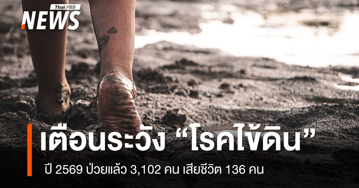 กรมควบคุมโรคเตือนไข้ดินปี 2569 ป่วยแล้ว 3,102 ราย เสียชีวิต 136 ราย พบมากในอีสาน
