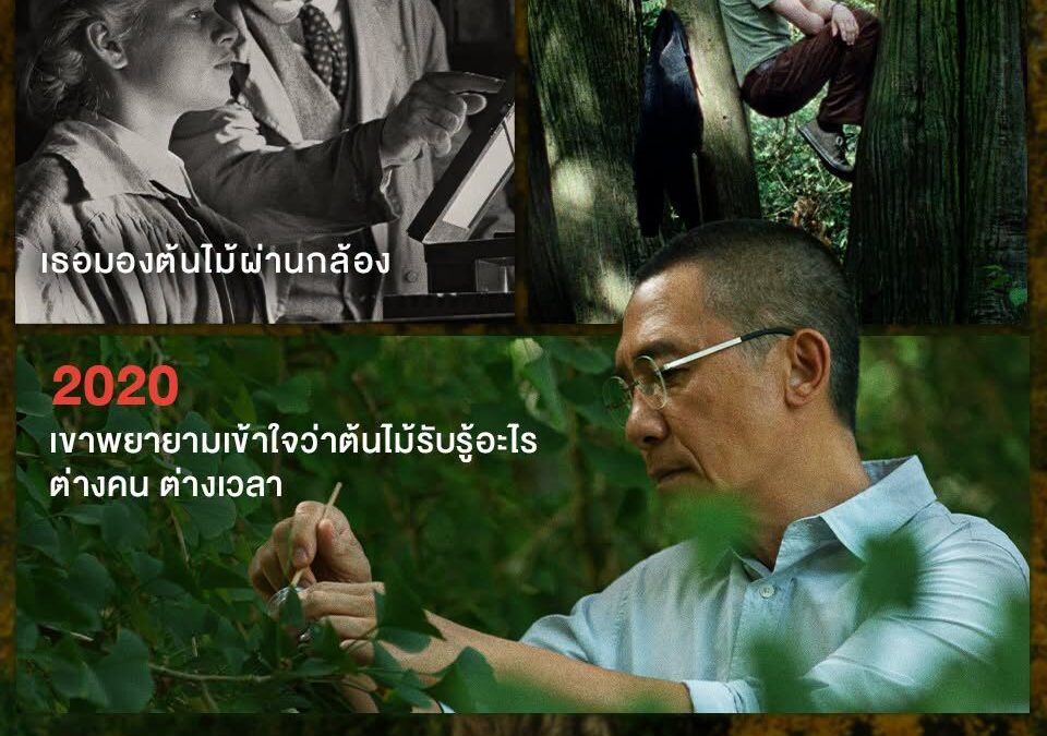 “SILENT FRIEND ชีวิต สัมพันธ์ นิรันดร์” ลงโรงไทย หลังกวาดคำชมจากเวนิส
