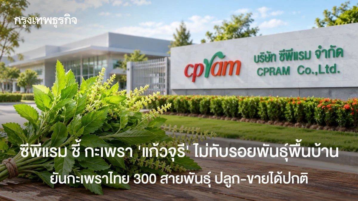 สส.บุญรวี จี้รัฐตรวจสอบจดทะเบียนพันธุ์พืช หวั่นต่างชาติใช้นอมินี หลังซีพีแรมได้สิทธิกะเพราแก้วจุรี 01–04