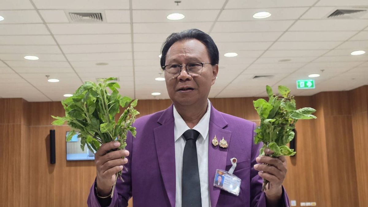 สส.บุญรวี จี้รัฐตรวจสอบจดทะเบียนพันธุ์พืช หวั่นต่างชาติใช้นอมินี หลังซีพีแรมได้สิทธิกะเพราแก้วจุรี 01–04