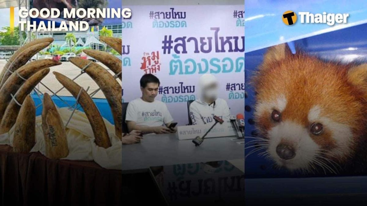 ศุลกากรแบล็กลิสต์ 7 บริษัท ตรวจขยะอิเล็กทรอนิกส์ลักลอบนำเข้าทางท่าเรือแหลมฉบัง