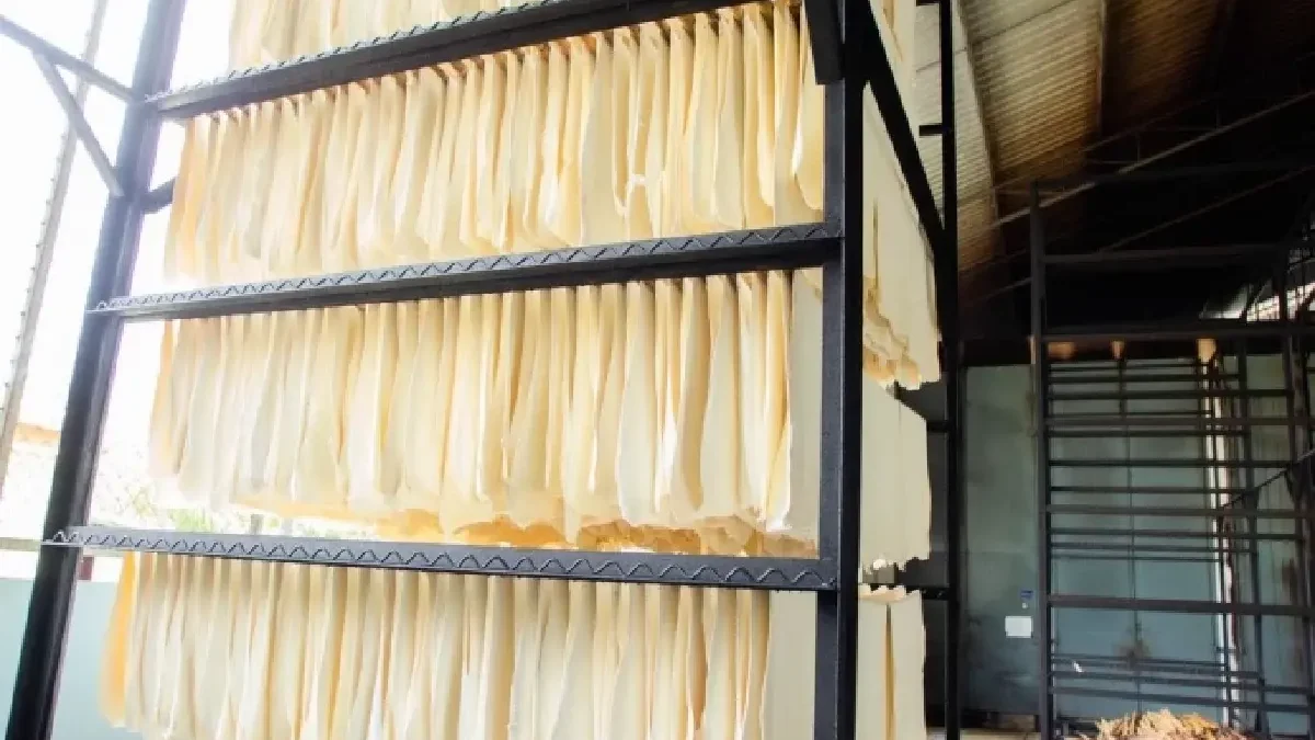ราคายางปี 2569 สูงสุดรอบ 10 ปี สุริยะสั่ง กยท.คุมยางนอกระบบ รับมือไตรมาส 4