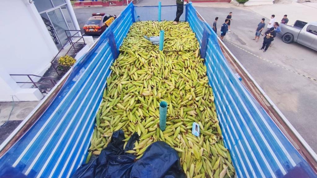 ตำรวจ 191 ยึดยาบ้า 6.47 ล้านเม็ด ซุกใต้ข้าวโพดในสิบล้อ ริมถนนหมายเลข 1 นครสวรรค์