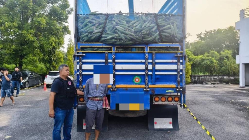 ตำรวจ 191 ยึดยาบ้า 6.47 ล้านเม็ด ซุกใต้ข้าวโพดในสิบล้อ ริมถนนหมายเลข 1 นครสวรรค์