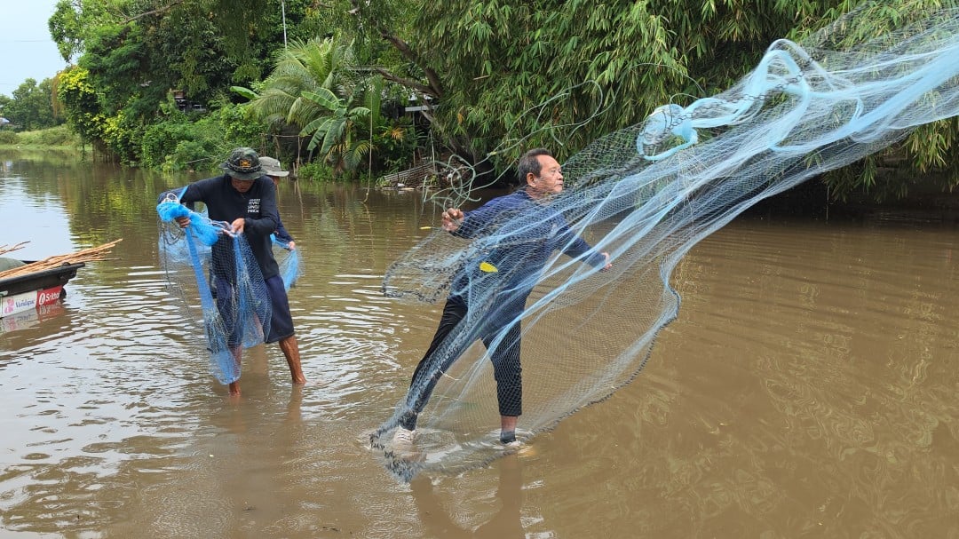 สงขลาลงพื้นที่คลองสำโรง ล่าปลาหมอคางดำหลังแพร่ระบาดเชื่อมสู่อ่าวไทย