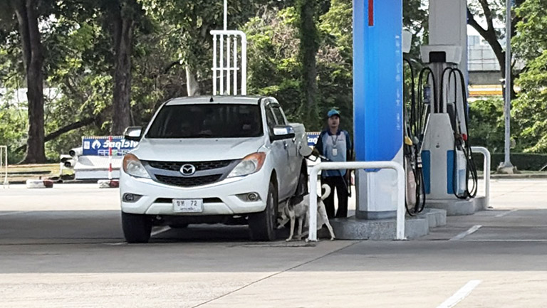 ปตท.และบางจากลดราคาน้ำมันดีเซล B7 แก๊สโซฮอล์ 91-95 มีผล 29 ต.ค. 2569