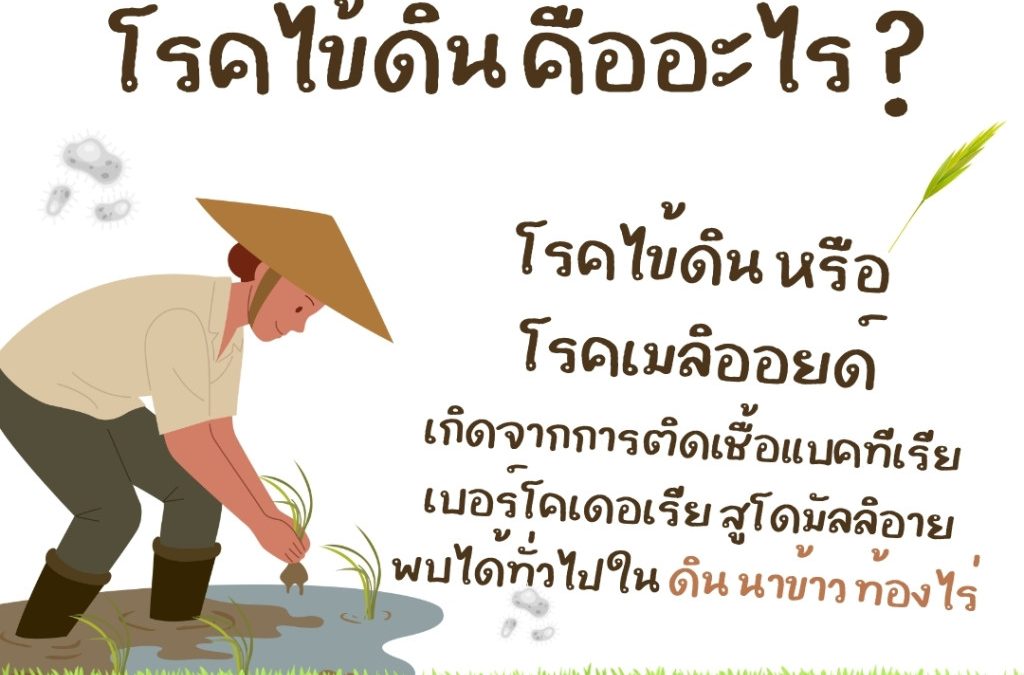 กรมควบคุมโรคเผยไข้ดินปี 2569 ป่วย 3,102 ราย เสียชีวิต 136 ราย พบมากในอีสาน 5 จังหวัด